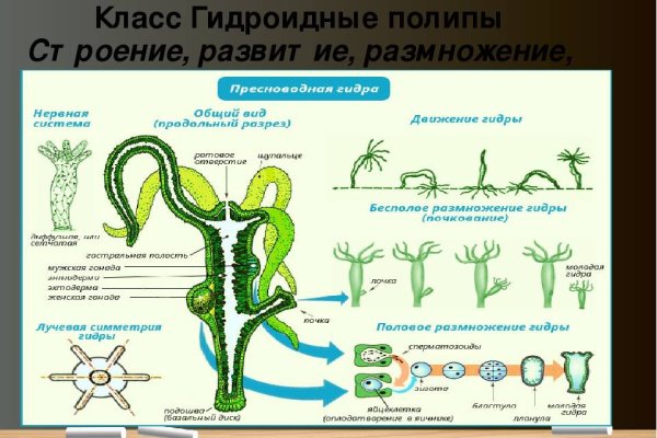 Mega sb что за сайт